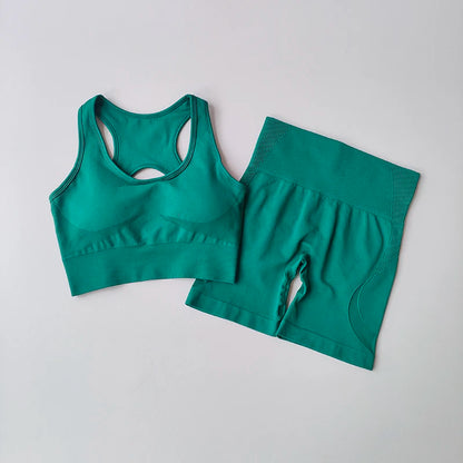 2PCS Seamless Women’s Yoga set with Shorts